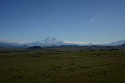 DSC_1053 (Large).JPG